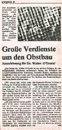 Bild 14779