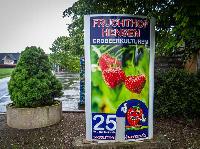 Bild 14949
