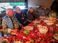 Bild 14984